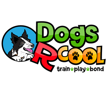 logo-304.png