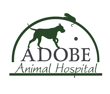 logo-373.png