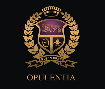 logo-407.png