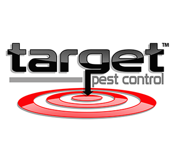 logo-431.png