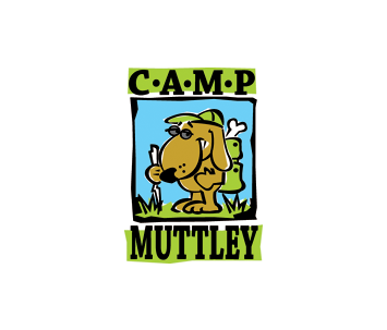 logo-502.png